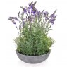 Lavender in Bowl 28cm x 50cm
