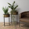 Aztec Set of Two Tall Planters In Gold