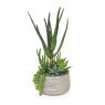 Artificial Cactus & Succulent Plants In Rustic Pot