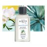 Agaves Garden Bouquet Refill 200ml for Diffusers