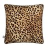 Scatter Box Gene Scatter Cushion