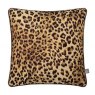 Scatter Box Gene Scatter Cushion