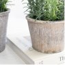 Artificial Rosemary Herb In Rustic Pot