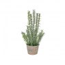 Artificial Rosemary Herb In Rustic Pot