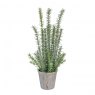 Artificial Rosemary Herb In Rustic Pot