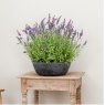 Artificial Lavender Plant In Slate Grey Bowl 60cm