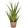 Artificial Aloe Plant In Clay Pot