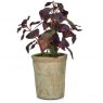 Artificial Potted Herbs