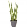 Artificial Sansevieria Plant with Brown Pot