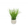 Artificial Grass In Cream Pot