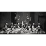 Beautiful Dominance - Photo Art on Plexiglass
