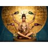 Champagne Goddess - Photo Art on Plexiglass