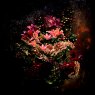 Classic Still Life - Photo Art on Plexiglass