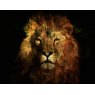 Lion's Law - Photo Art on Plexiglass