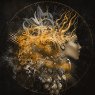 Golden Muse - Photo Art on Plexiglass