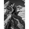 Rocky Lady - Photo Art on Plexiglass - Aluminium Frame