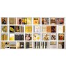 Pleasures of Life - Photo Art on Plexiglass