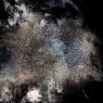 The Secret - Photo Art on Dibond