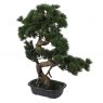 Kyoto Faux Pine Bonsai Tree