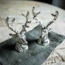 Stag Salt & Pepper Set