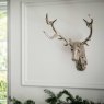 Stag Head Wall Decor