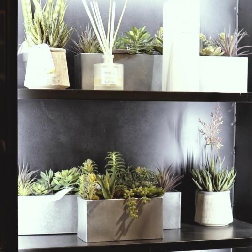 Lush greenery, effortless style. Explore our plant collection in-store and see how the right touch of...