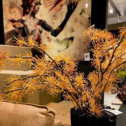 A touch of orange for October. From a statement piece to a carefully chosen accent, these warmer tone...